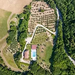 Isola *