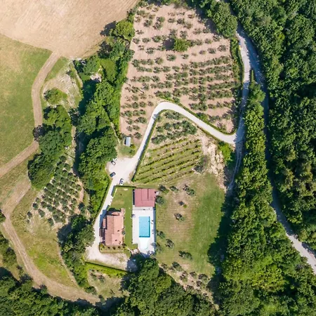 Isola *