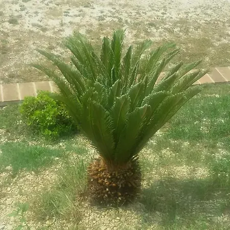 Isola Фермерский дом Sant'Urbano